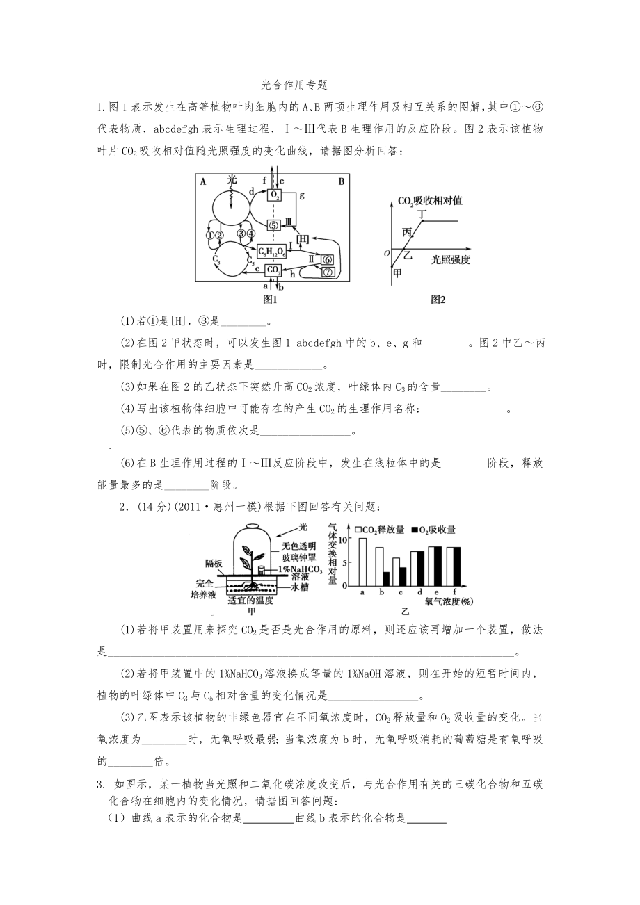 光合作用练习题(有答案).doc_第1页