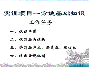 分娩基础知识.ppt