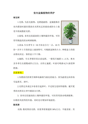 室内盆栽植物的养护分析.doc