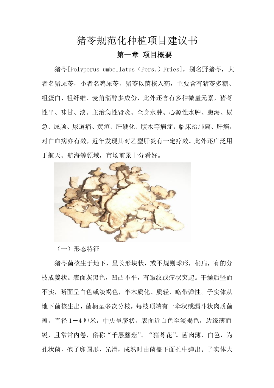 猪苓项目投资建议书.doc_第1页