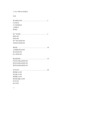 上市公司财务分析报告.doc