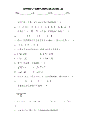 北师大版八年级数学上册期末复习综合练习题.doc