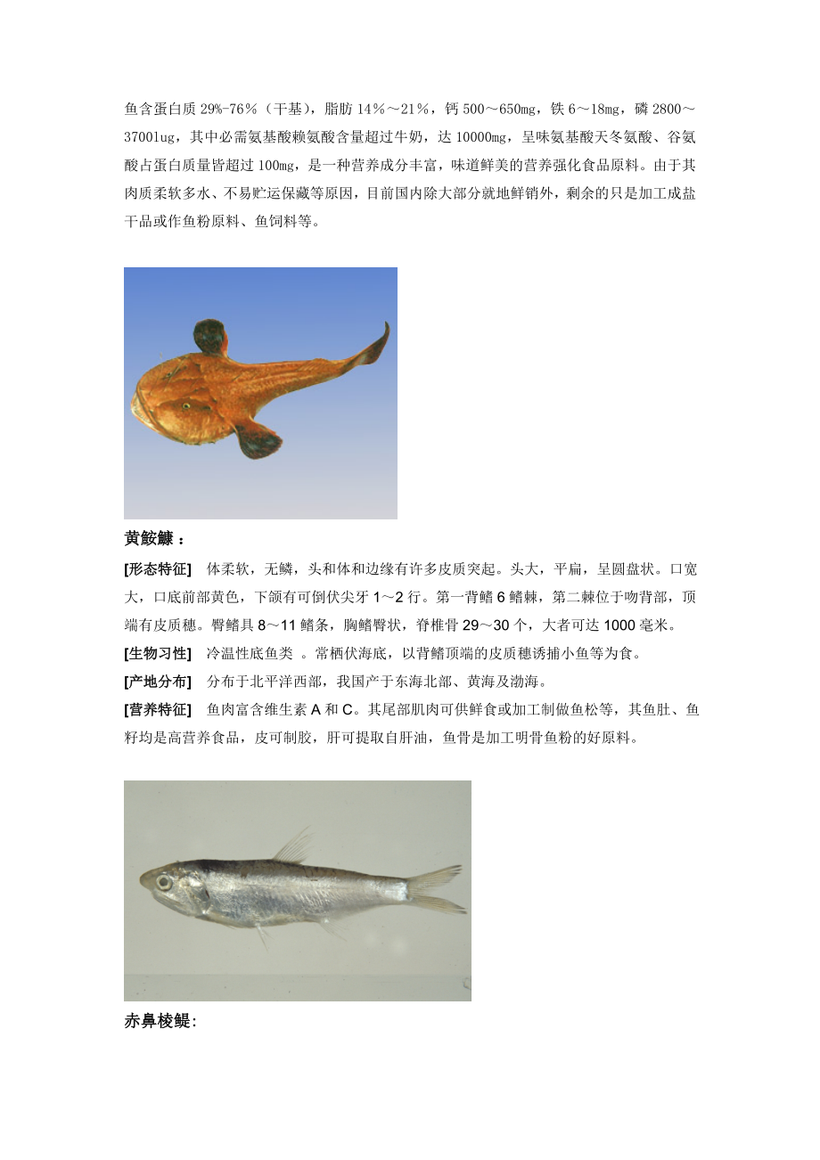 各种海鲜鱼类地介绍.doc_第3页