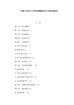 中国大宗电子交易所筹建项目立项申请报告（可编辑）.doc