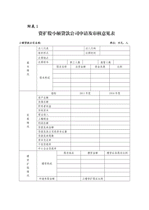 资扩股小额贷款公司申请及审核意见表.doc