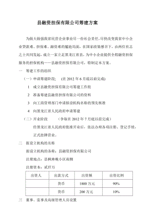 融资担保有限公司筹建方案.doc