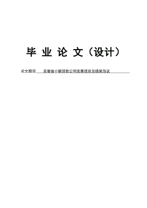 小额贷款公司论文13211.doc