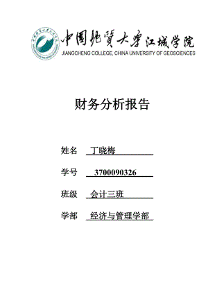 广东宝利来投资股份有限公司财务分析报告.doc