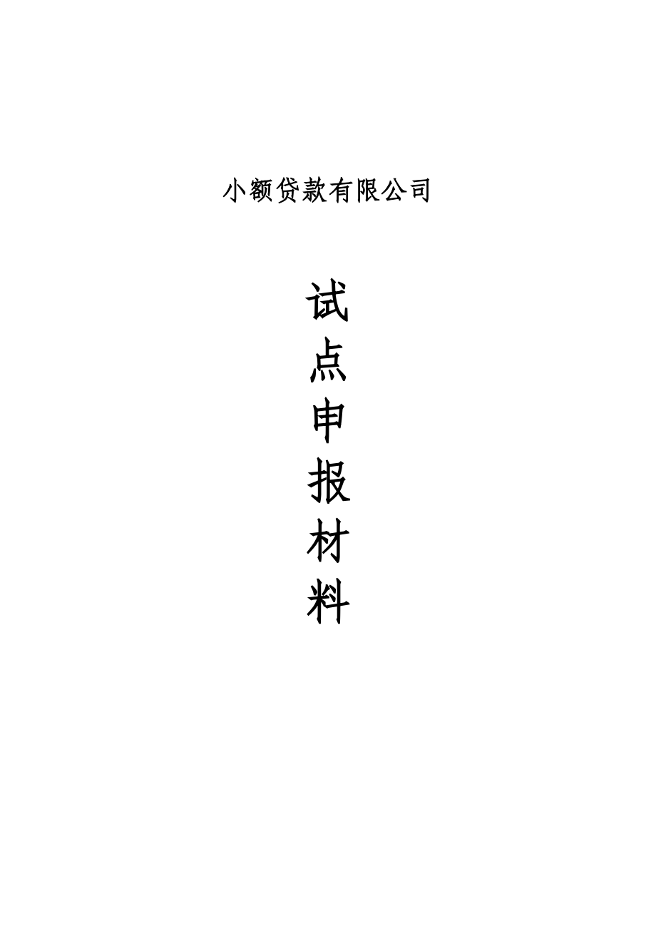 小额贷款公司筹建资料(封皮).doc_第1页