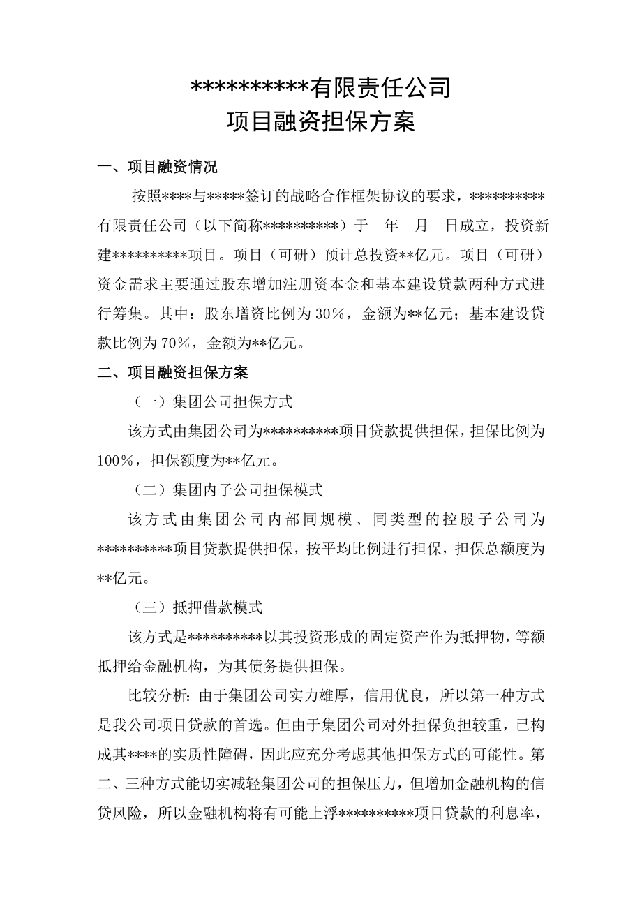 公司项目融资方案.doc_第3页