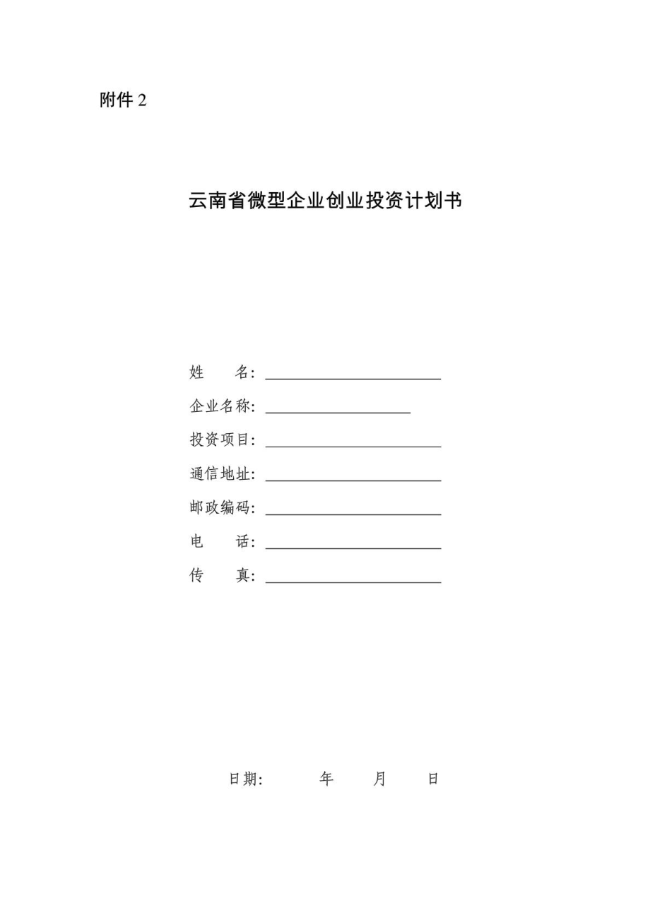 云南省微型企业创业投资计划书1461349730[精华].doc_第2页