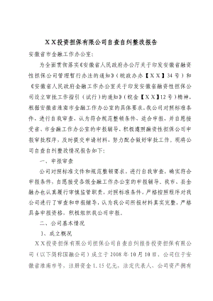 投资担保有限公司担保公司自查自纠报告.doc