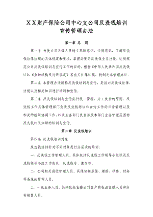 财产保险公司中心支公司反洗钱培训宣传管理办法.doc