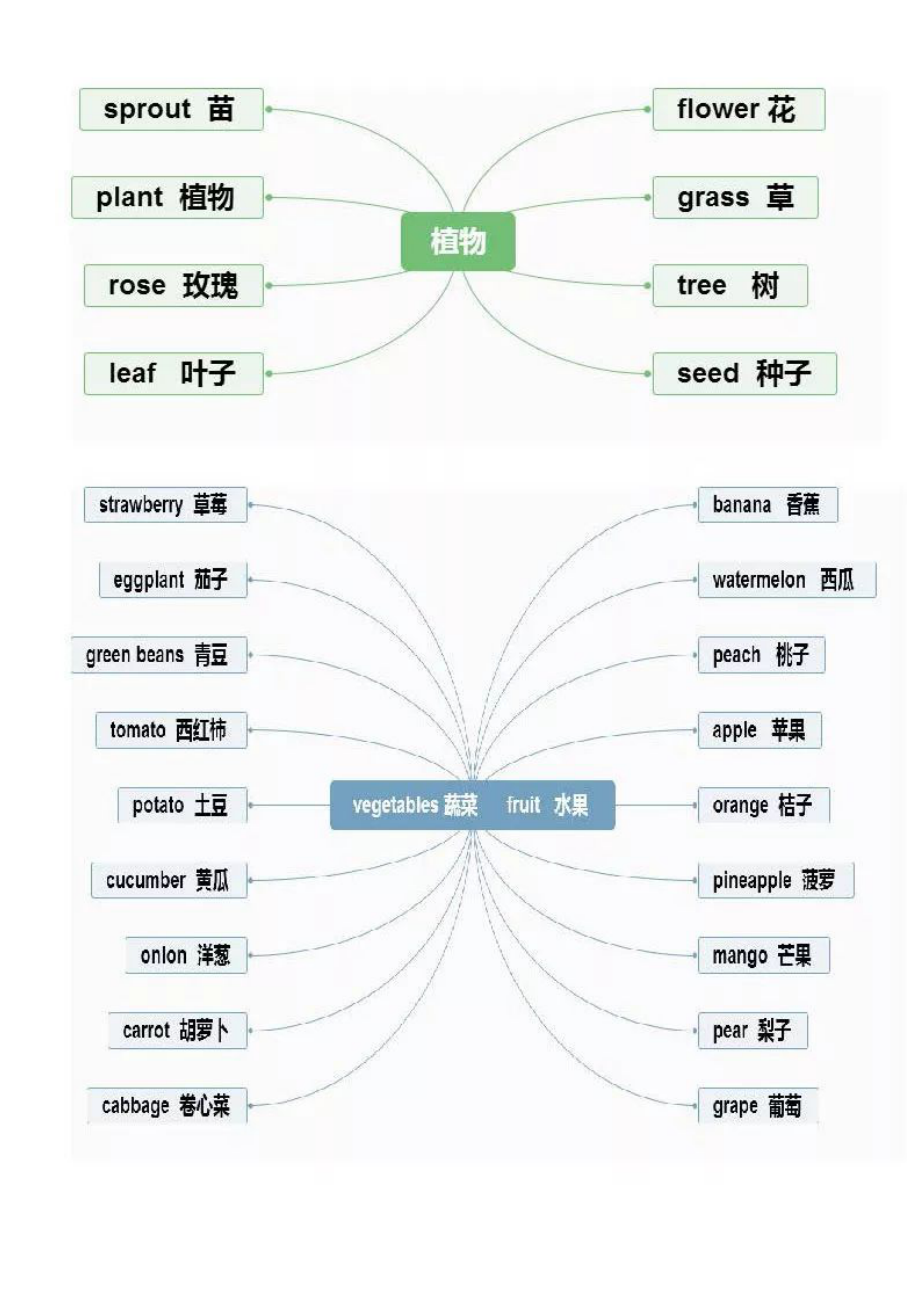 小学英语知识点汇总重点知识思维导图汇总.doc_第2页