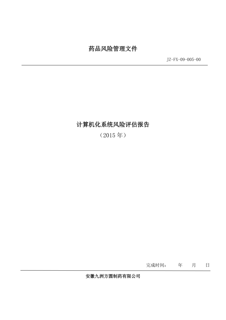 09005计算机化系统风险评估报告.doc_第1页