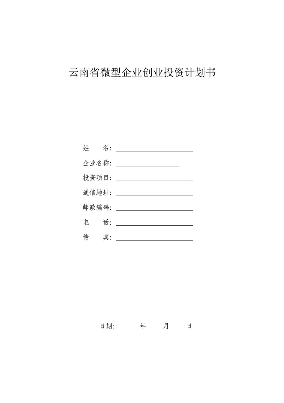 最新云南省微型企业创业投资计划书.doc_第2页