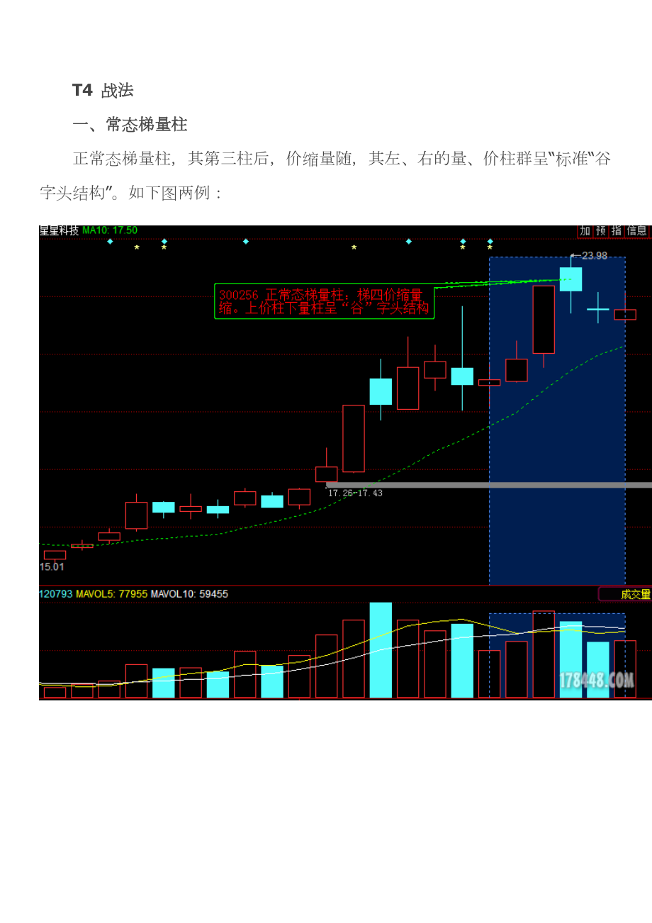 T 4 变异战法 小结（附图）【梯量柱】.doc_第1页