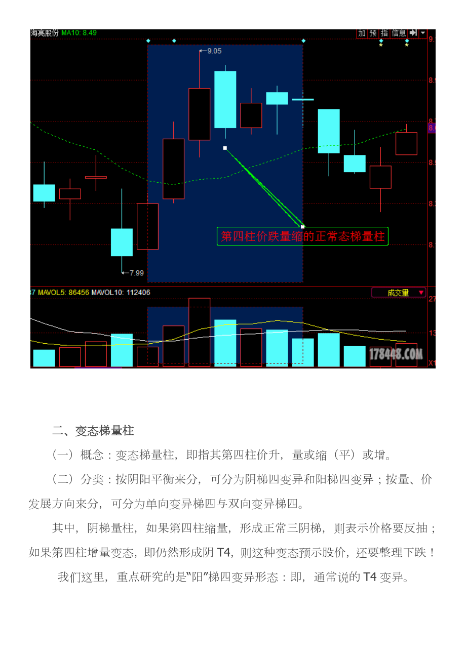 T 4 变异战法 小结（附图）【梯量柱】.doc_第2页