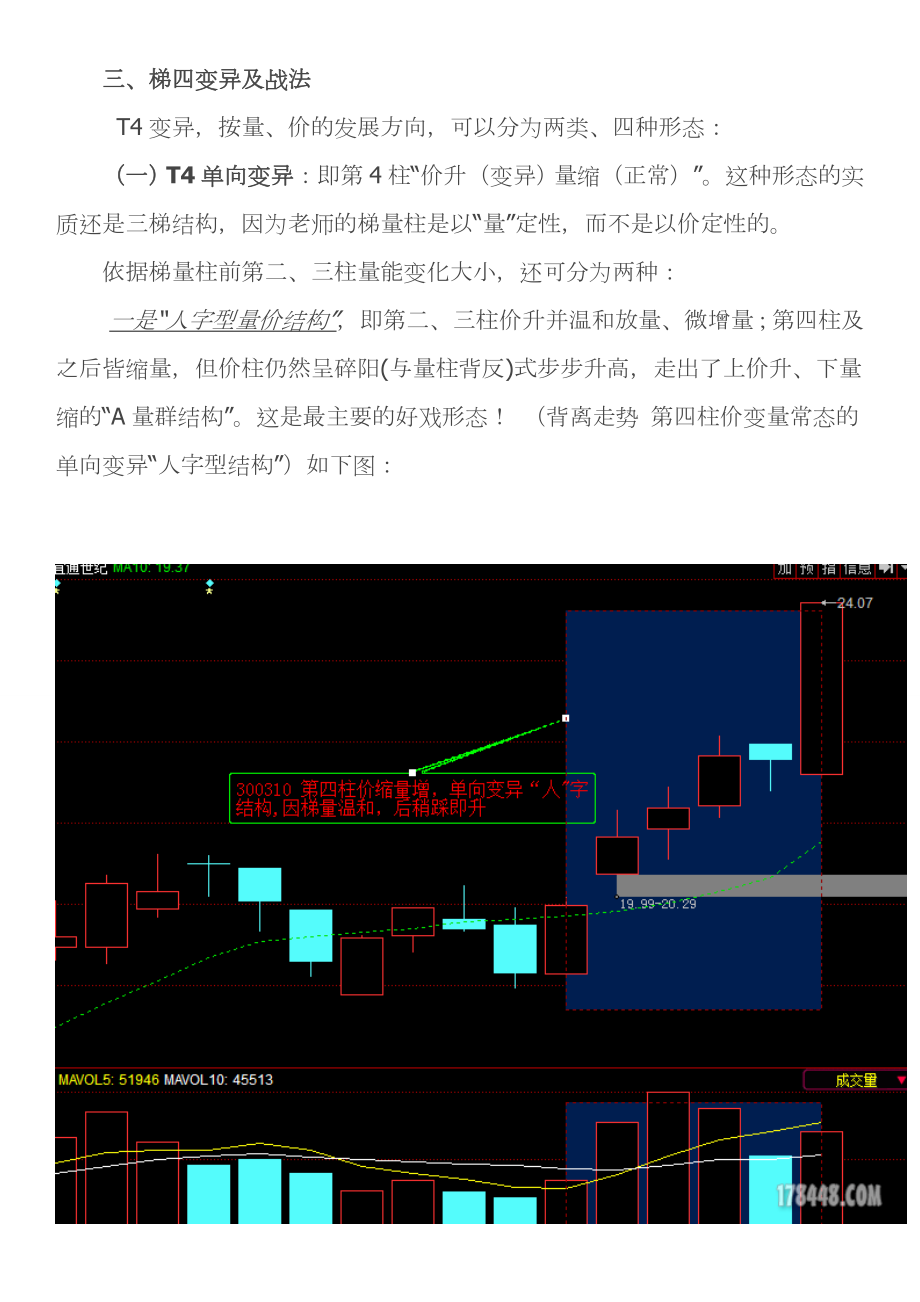 T 4 变异战法 小结（附图）【梯量柱】.doc_第3页