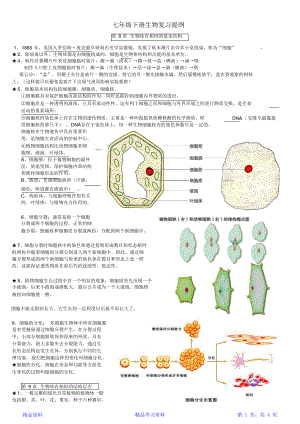 最全面苏科版生物七年级下册知识点总结期末复习资料(精华版).docx