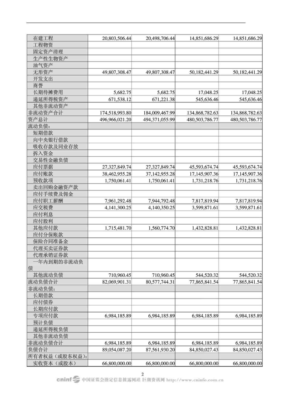 浙江帝龙新材料股份有限公司半财务报告.doc_第2页