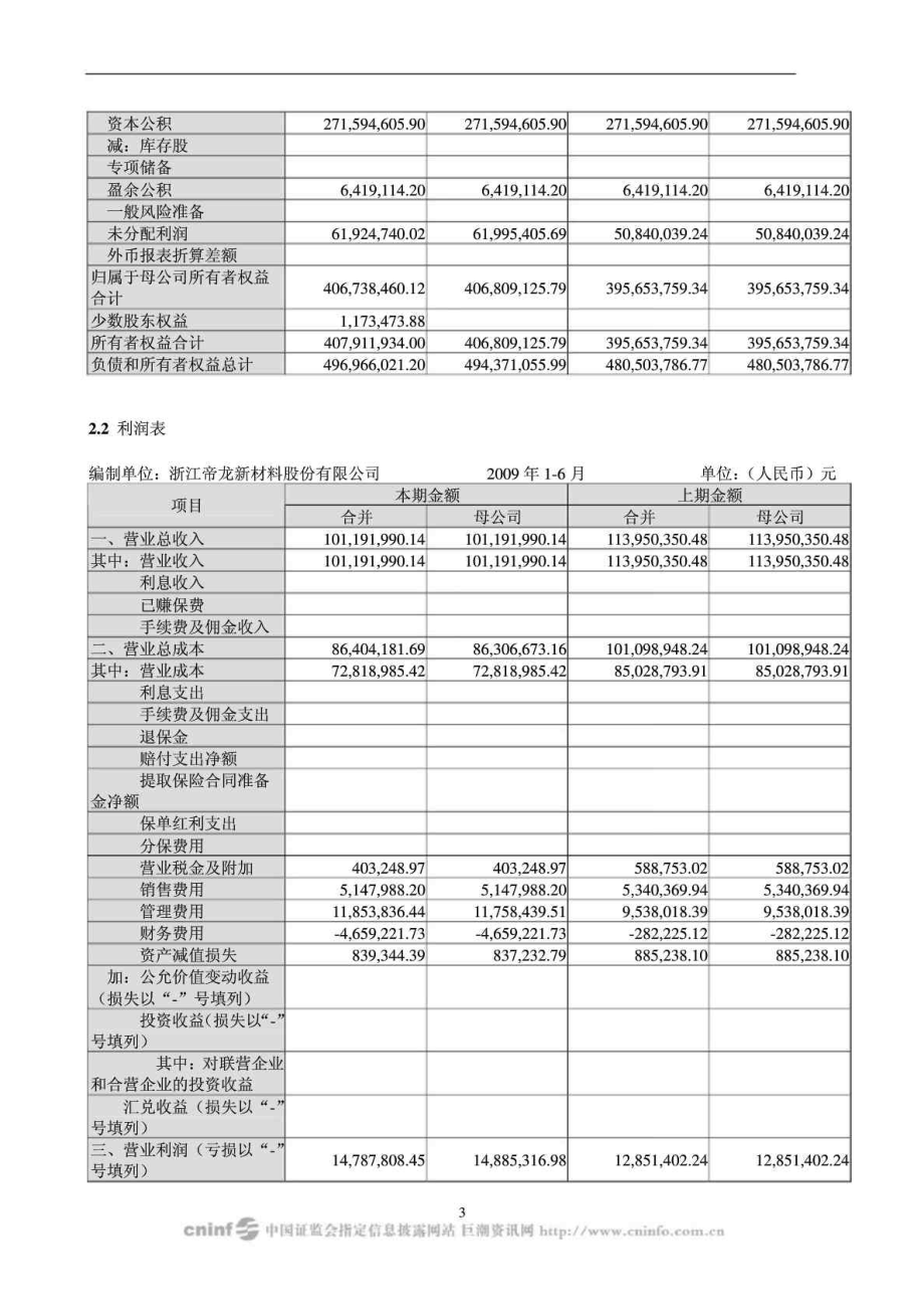 浙江帝龙新材料股份有限公司半财务报告.doc_第3页