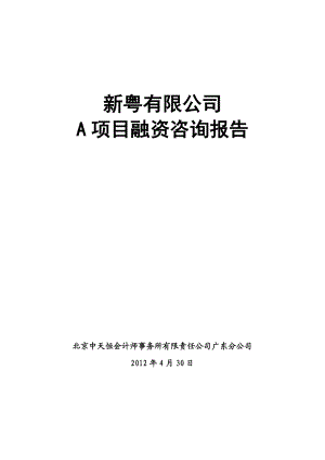 某有限公司融资咨询报告.doc