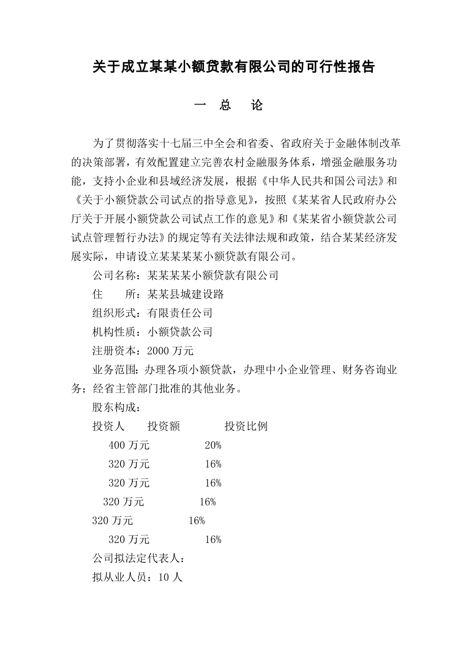 贷款公司可研报告.doc_第1页