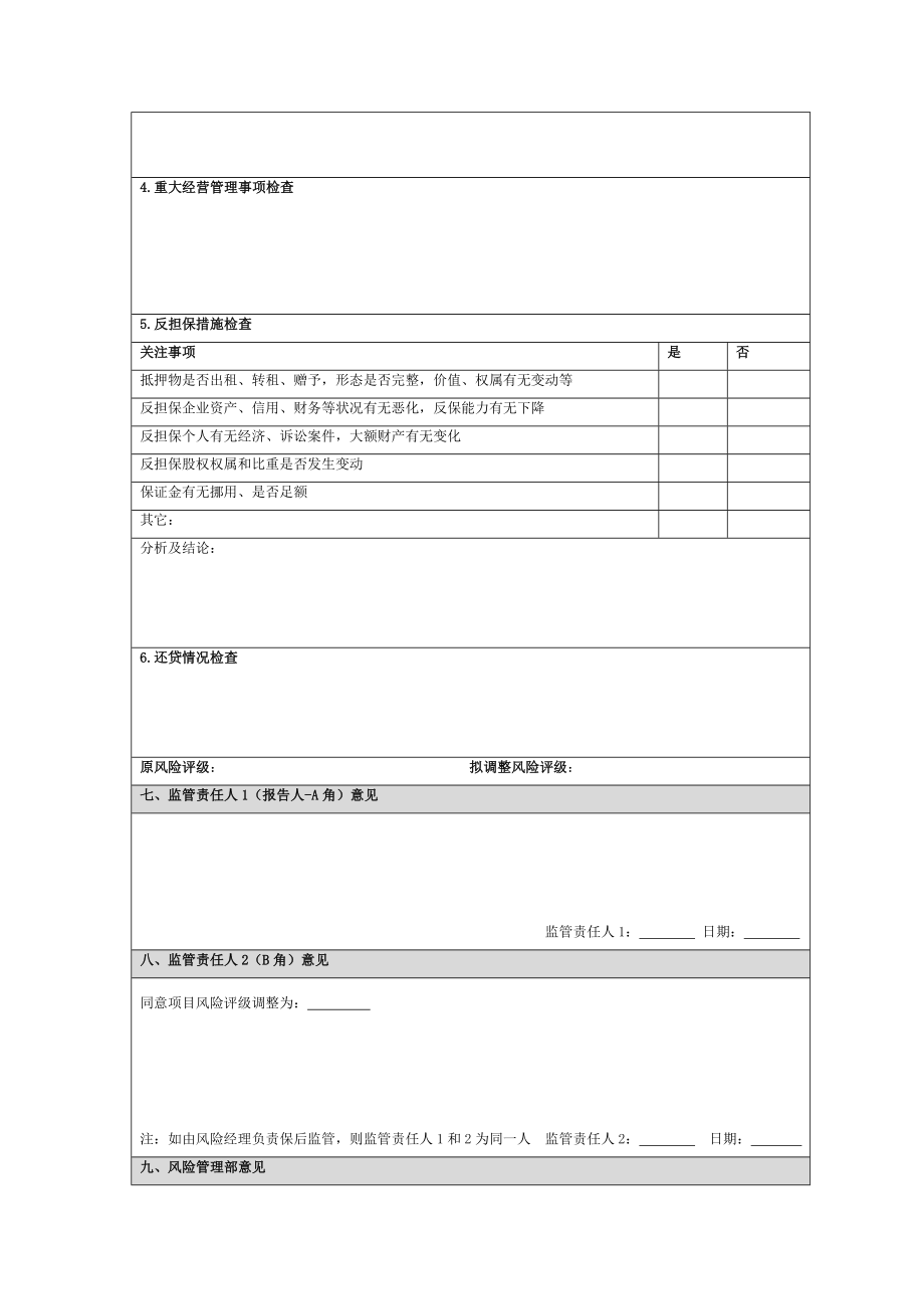 融资担保项目保后监管报告.doc_第3页