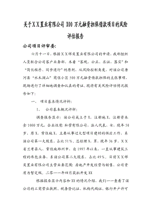 关于ⅩⅩ置业有限公司X00万元融资担保借款项目的风险评估报告.doc