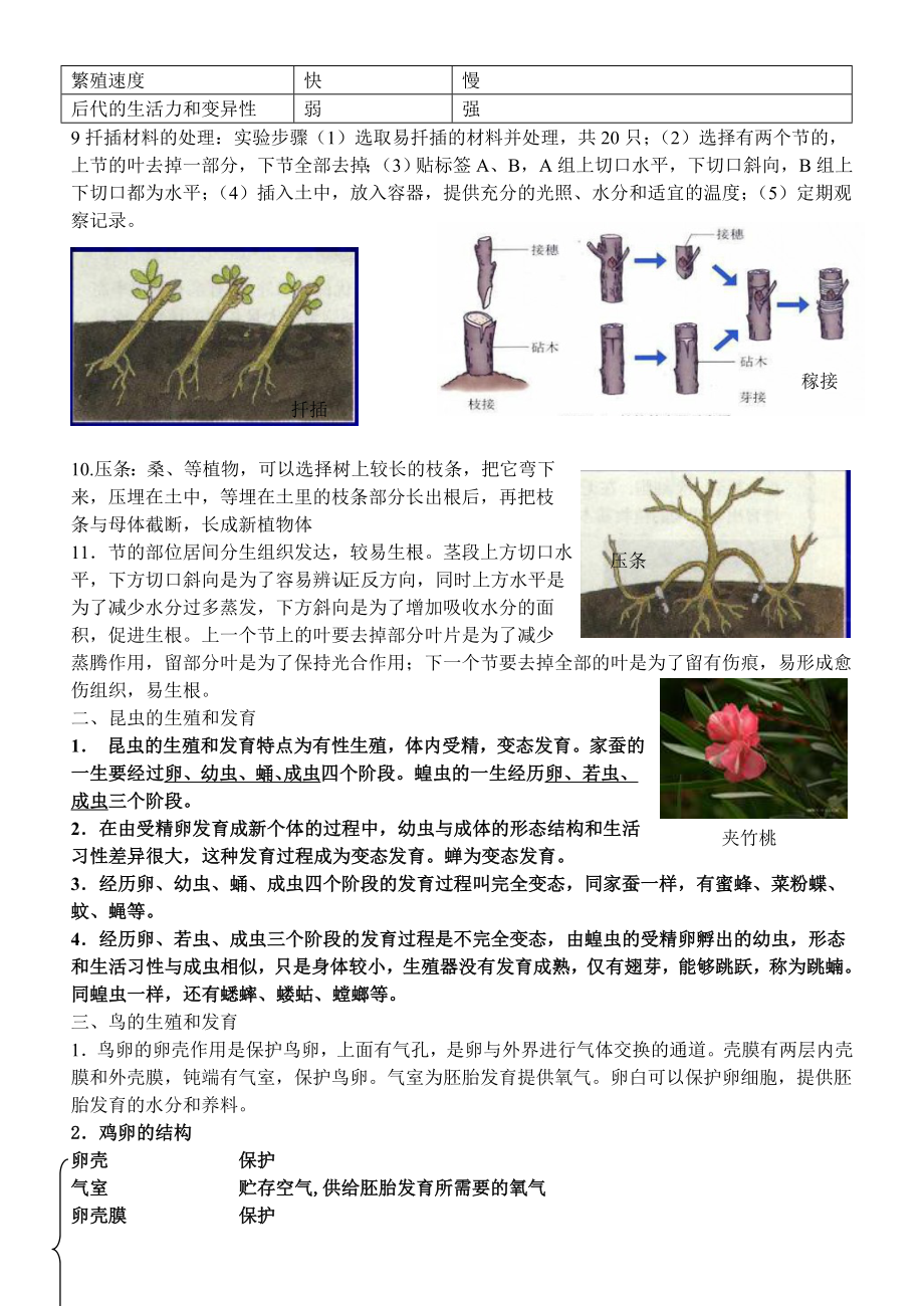 初三生物下册复习知识汇总.doc_第2页