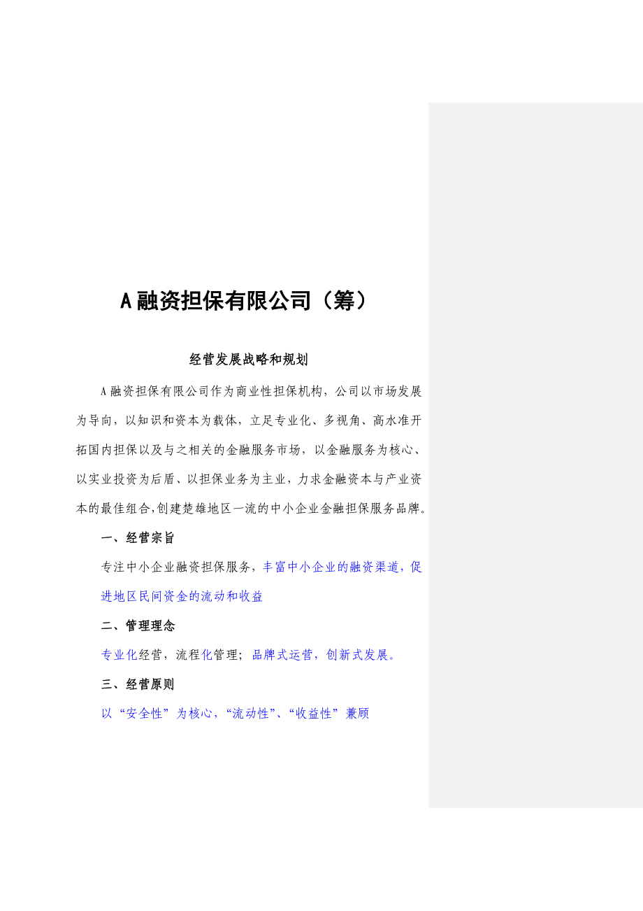 投融资担保公司经营发展战略和规划.doc_第1页