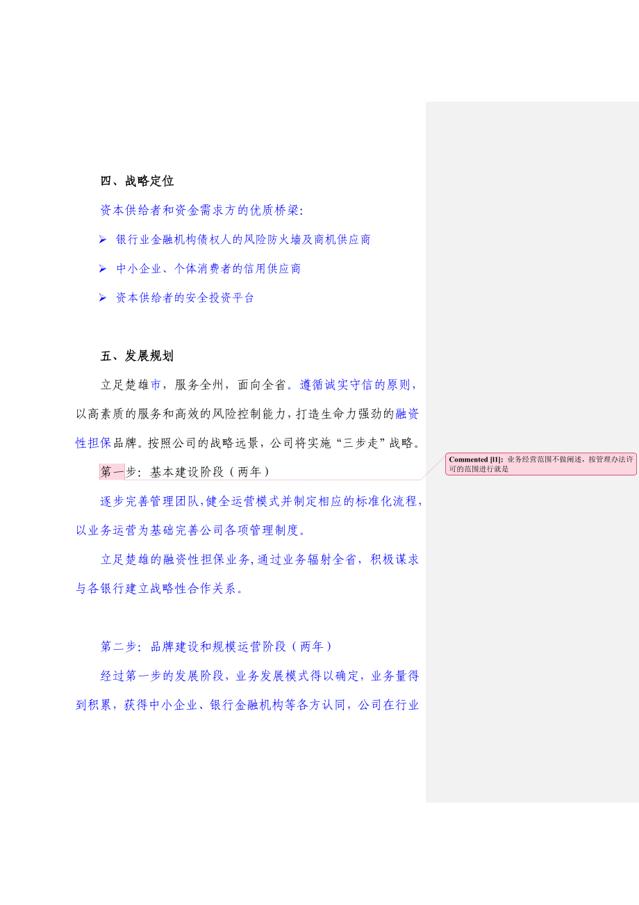 投融资担保公司经营发展战略和规划.doc_第2页