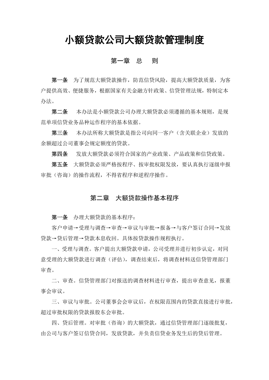 小额贷款公司大额贷款管理制度.doc_第1页