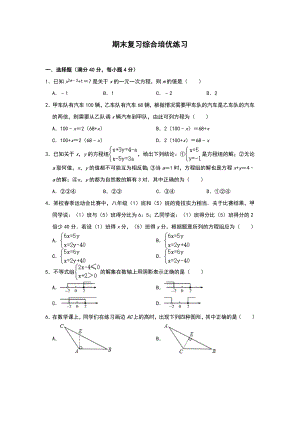 华东师大版数学七年级下册期末复习综合培优练习题.doc