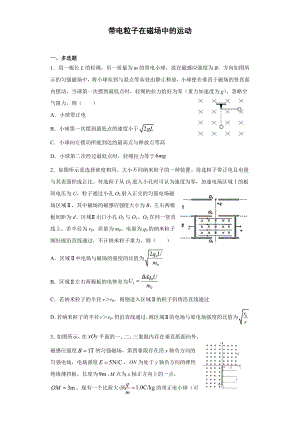 带电粒子在磁场中的运动练习题.docx