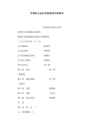 甘肃阳山金矿投资投资可研报告（可编辑） .doc