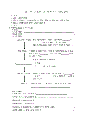 光合作用学案.doc