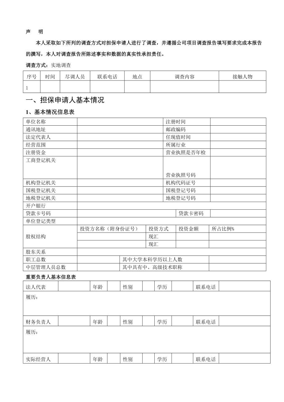 担保公司融资担保项目报告模板.doc_第2页