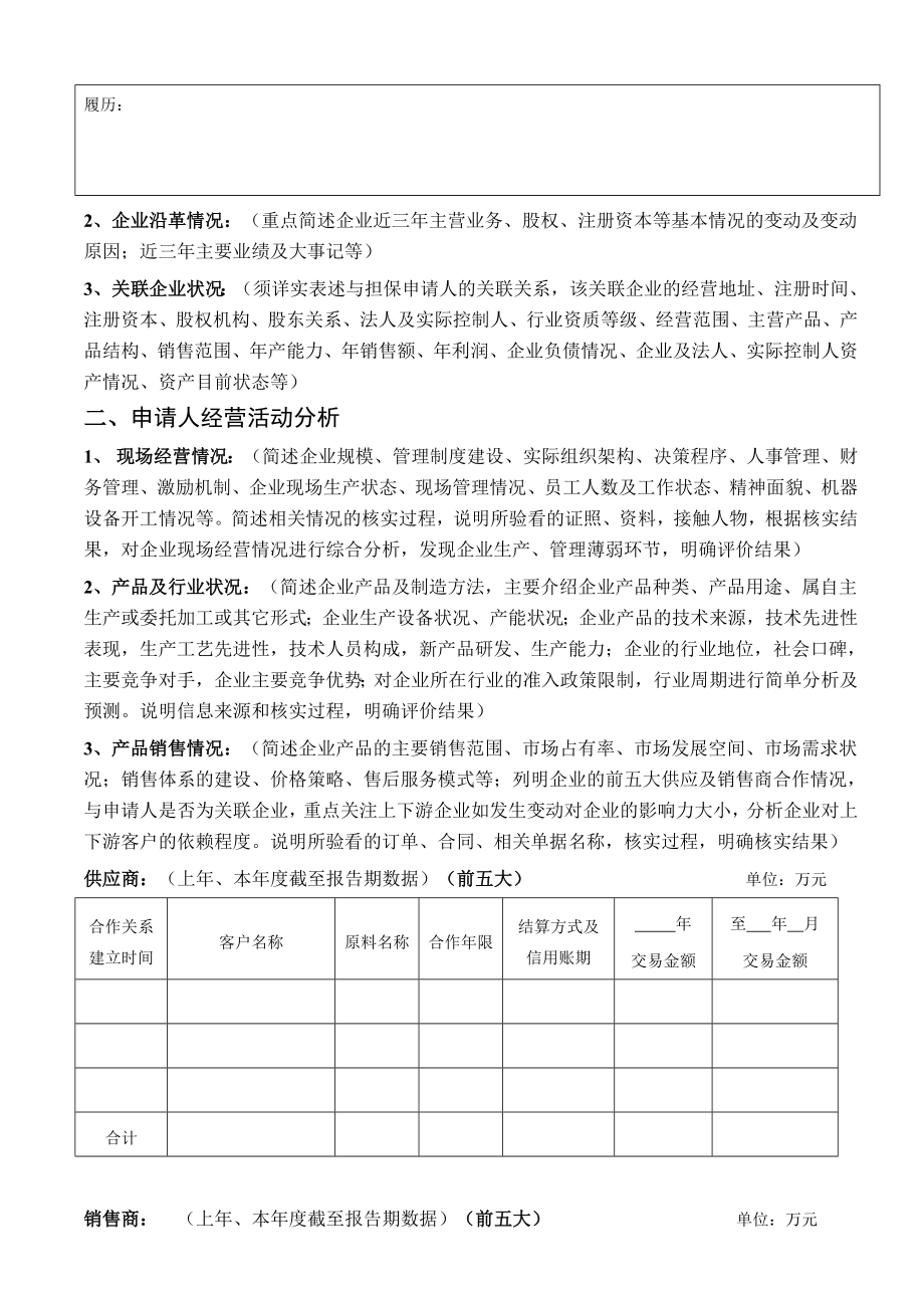 担保公司融资担保项目报告模板.doc_第3页