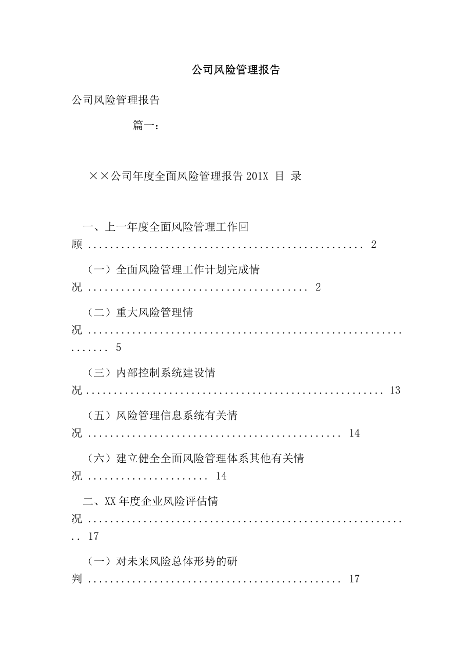 公司风险管理报告.doc_第1页