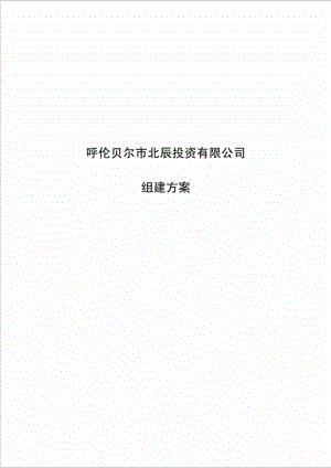 北辰投资公司改制组建方案.doc