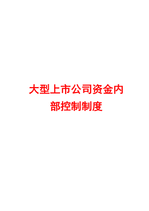 大型上市公司资金内部控制制度【精品管理参考资料】.doc