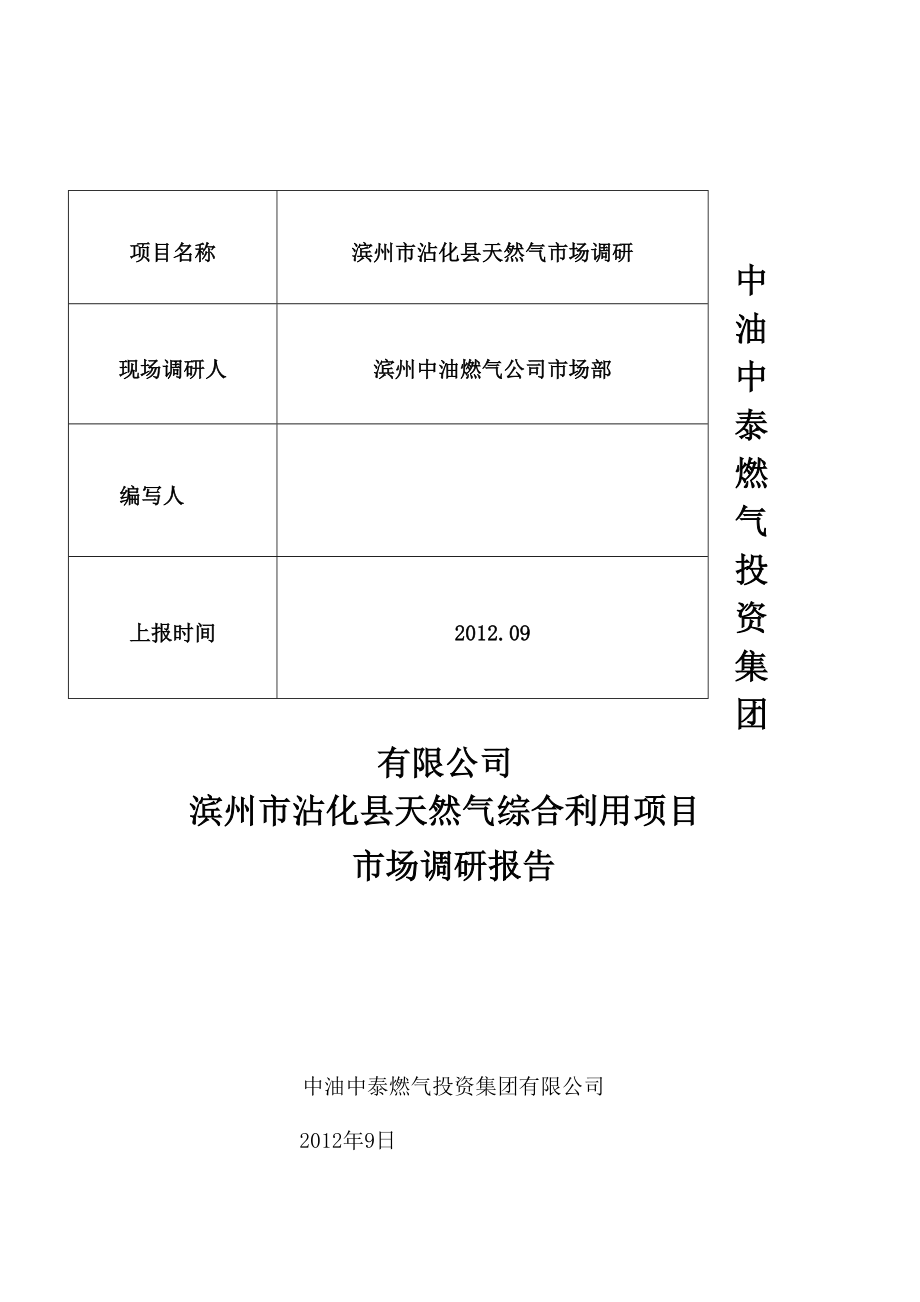 XX县天燃气市场调研报告.doc_第1页