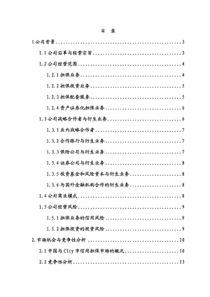 【精品】担保公司商业计划书(DOC132页).doc