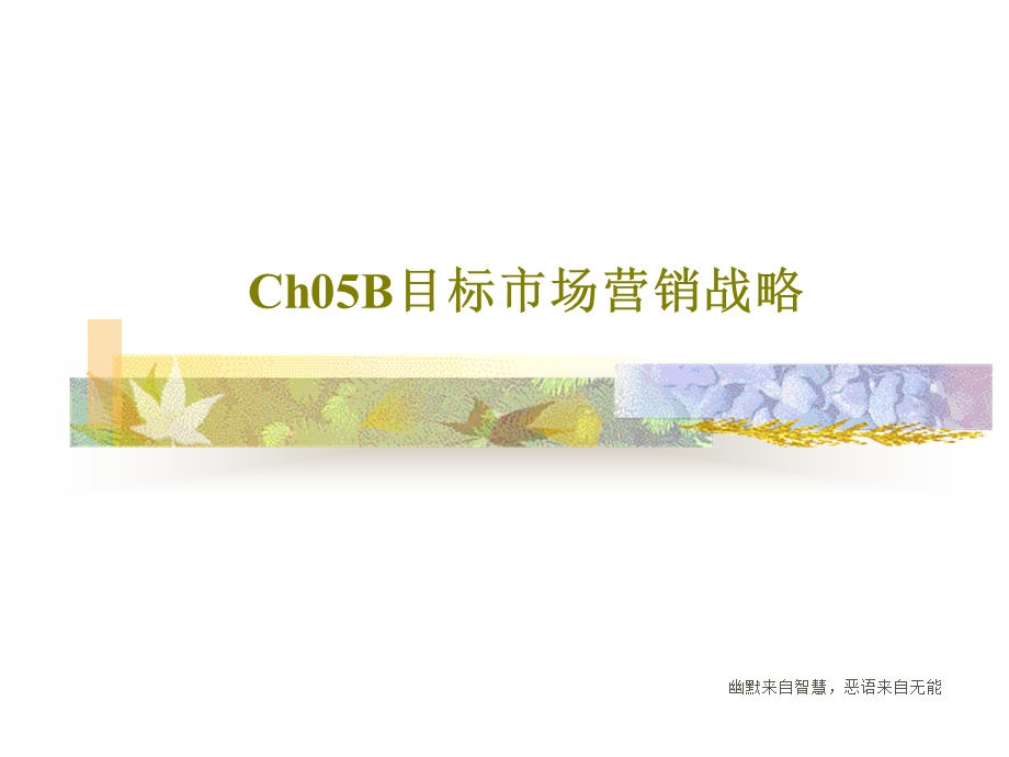 Ch05B目标市场营销战略.ppt_第1页