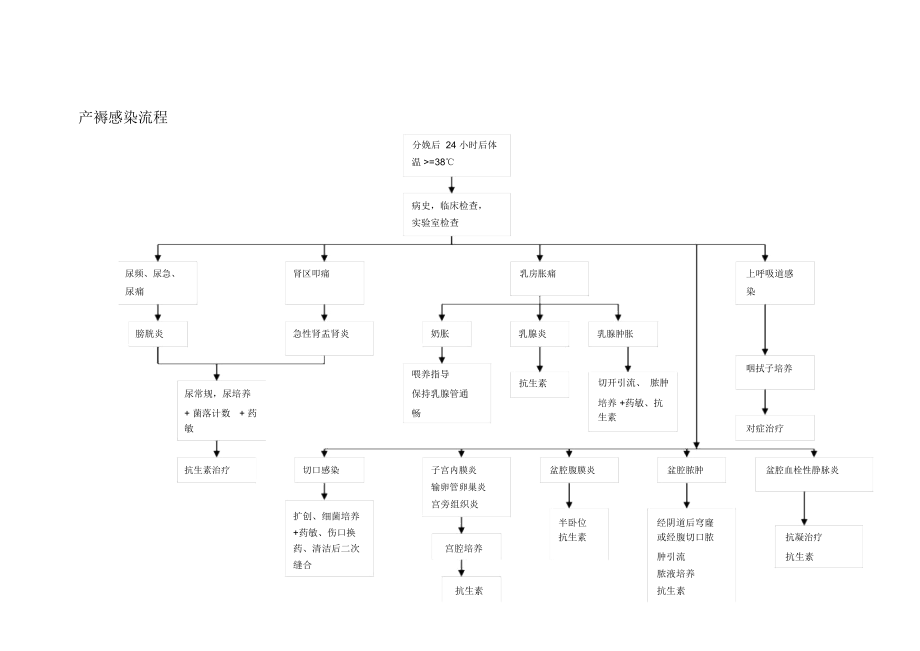 上海XX医院产科诊治流程.docx_第2页