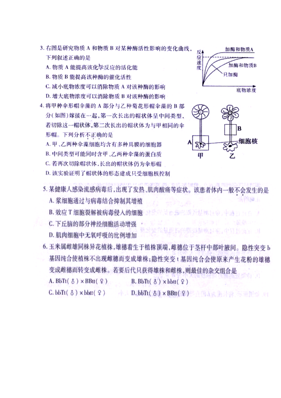 湖北省武汉市高三2月调研测试生物试题及答案.doc_第2页