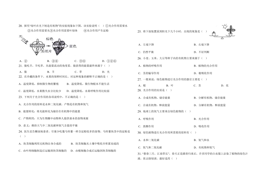 ——学七级生物第一学期期末考试卷.doc_第3页