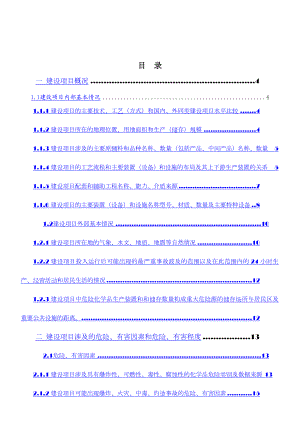 XXXX公司安全设施设计专篇.doc